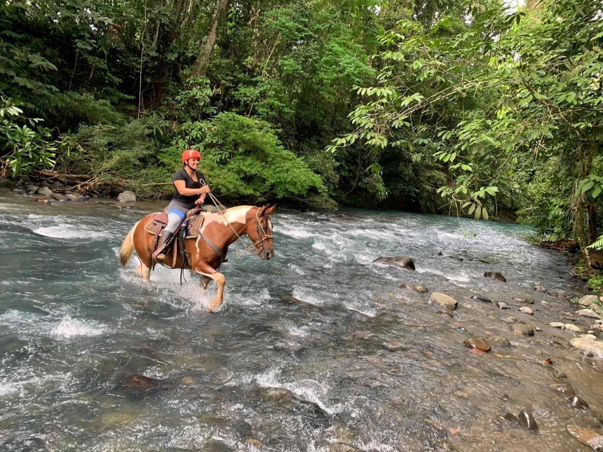 Hotel Suenoreal Rioceleste Rio Celeste Dış mekan fotoğraf