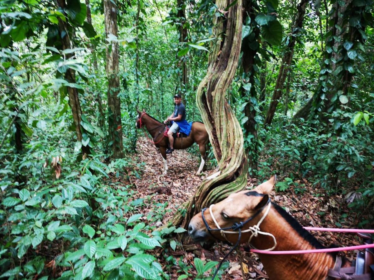 Hotel Suenoreal Rioceleste Rio Celeste Dış mekan fotoğraf