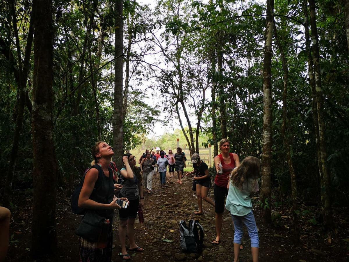 Hotel Suenoreal Rioceleste Rio Celeste Dış mekan fotoğraf